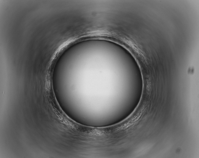 X0000100961358200807011322