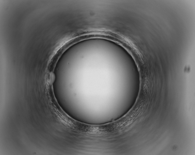 X0000100961360200807011322