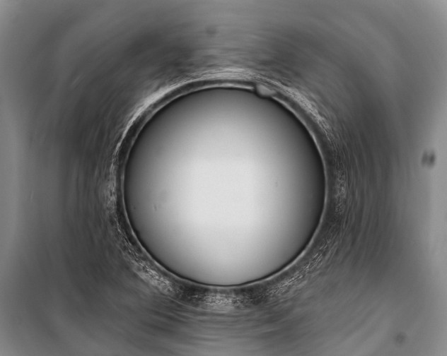 X0000100961364200807011322