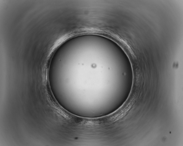 X0000100961365200807011322