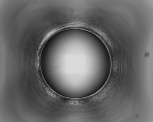X0000100961366200807011322
