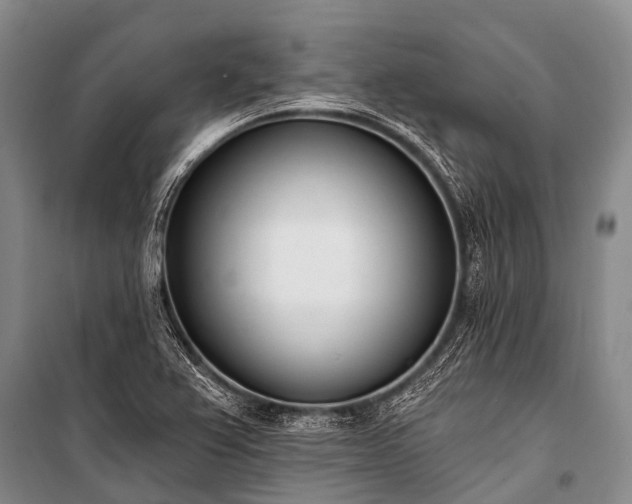 X0000100961367200807011322