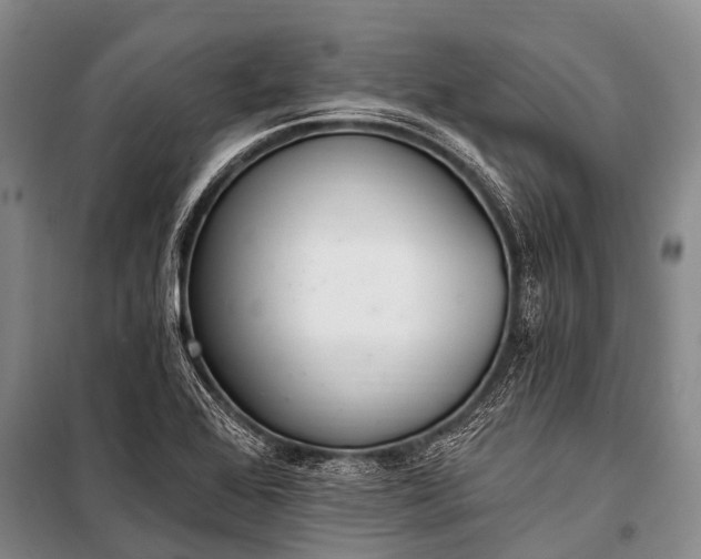 X0000100961368200807011322