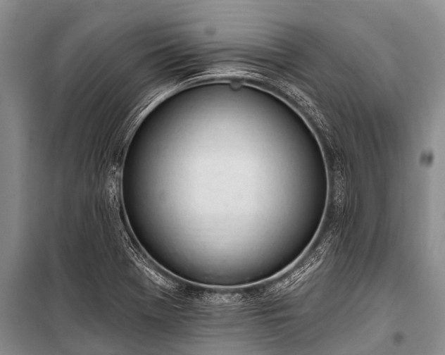 X0000100961369200807011322