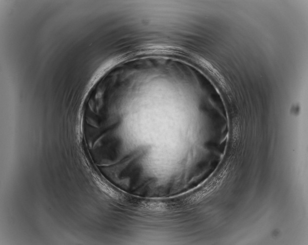 X0000100961370200807011322