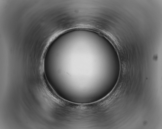 X0000100961371200807011322