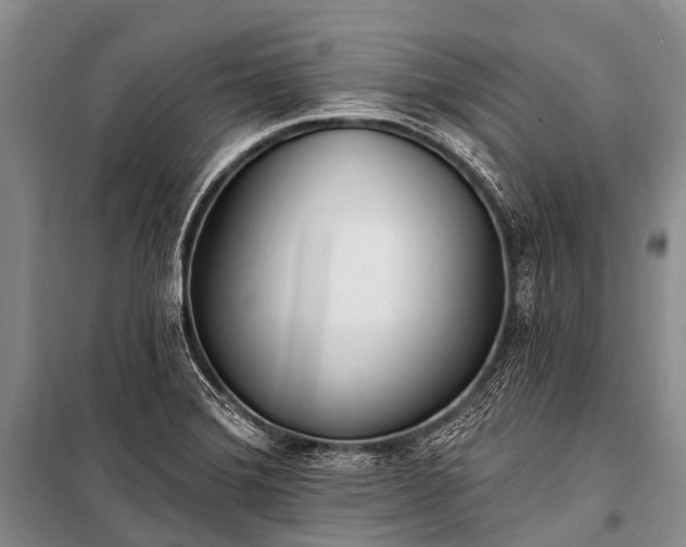 X0000100961372200807011322