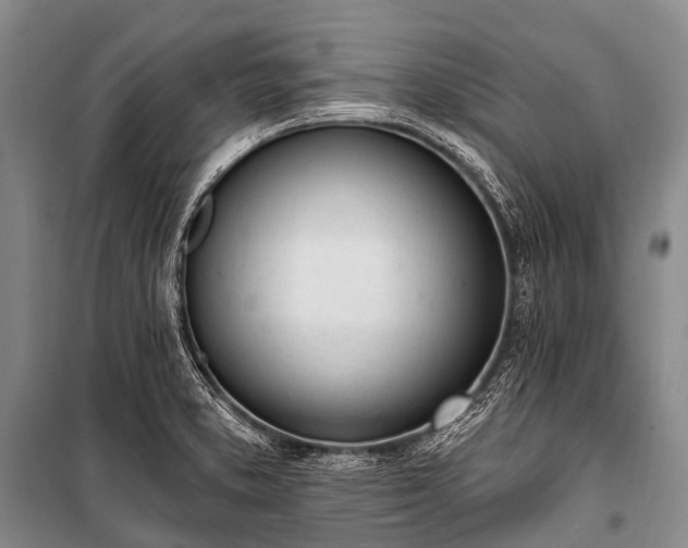 X0000100961373200807011322
