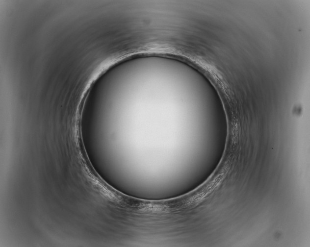 X0000100961374200807011322