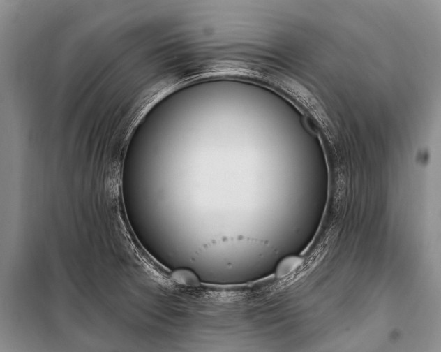 X0000100961377200807011322