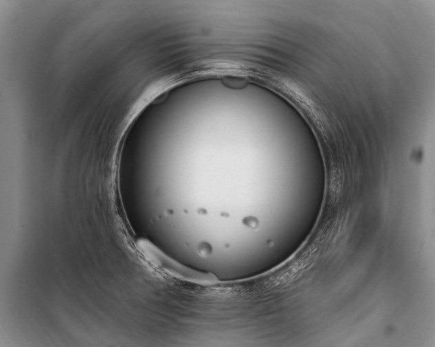X0000100961378200807011322