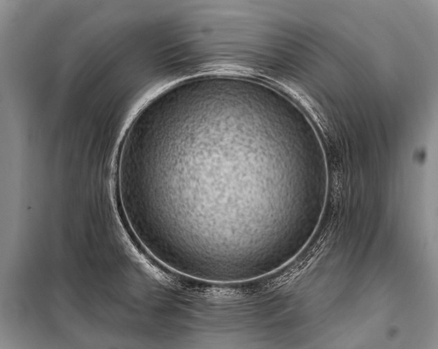 X0000100961379200807011322