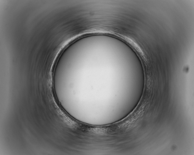 X0000100961380200807011322