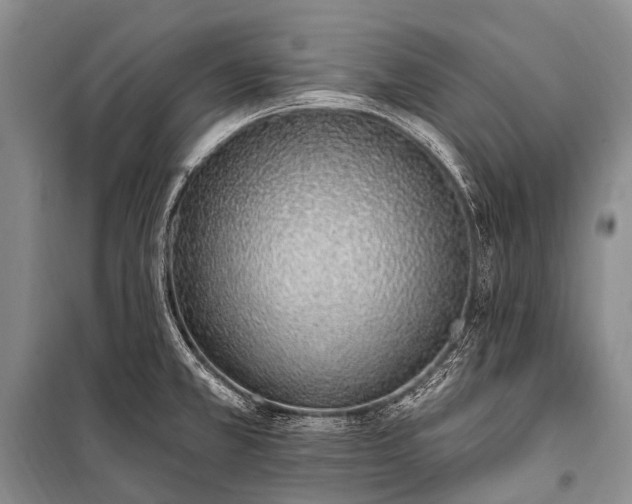 X0000100961381200807011322