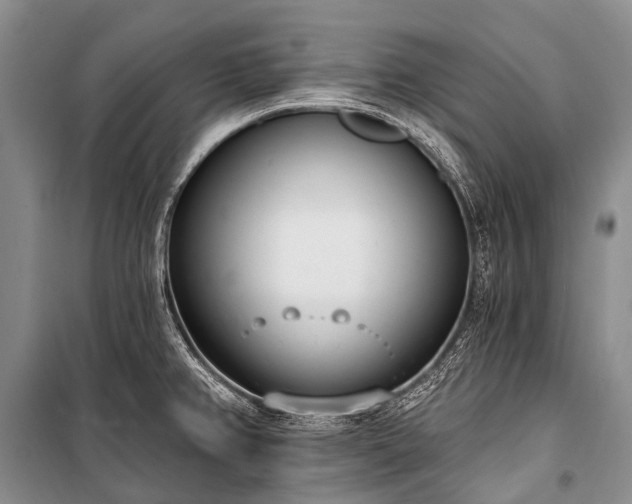 X0000100961382200807011322