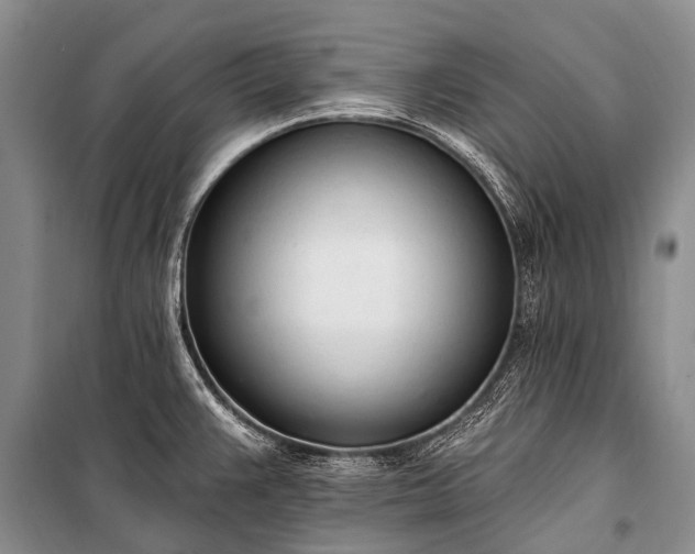 X0000100961383200807011322
