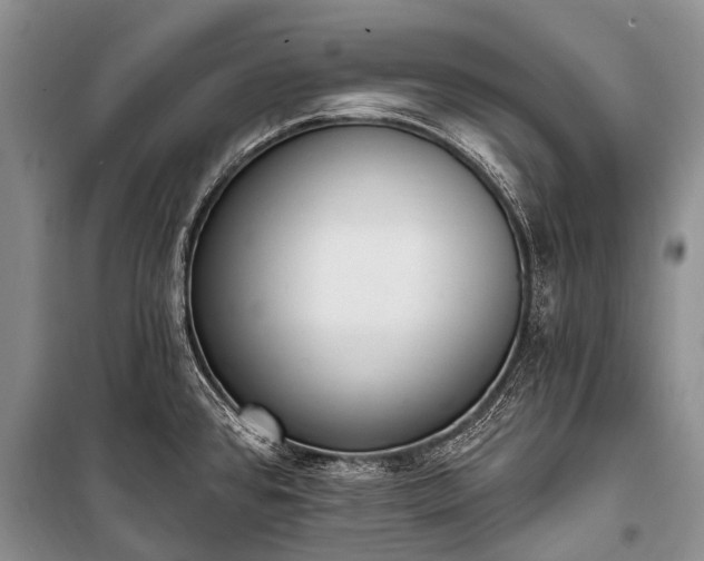 X0000100961384200807011322