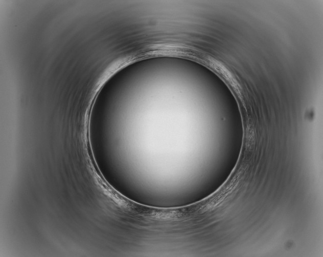 X0000100961386200807011322