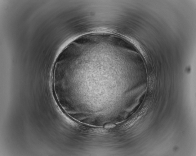 X0000100961387200807011322