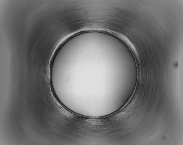 X0000100961388200807011321