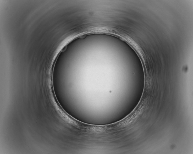 X0000100961389200807011321