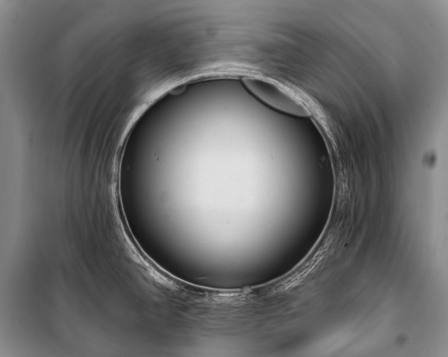 X0000100961390200807011321
