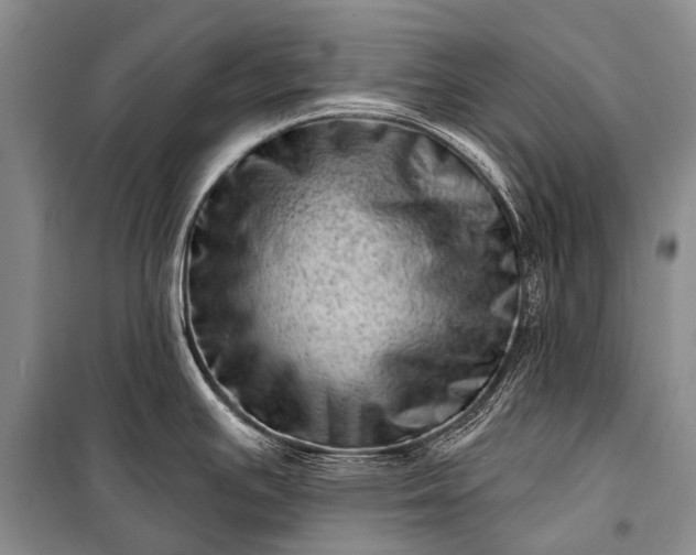 X0000100961391200807011321