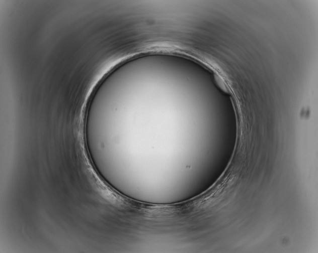 X0000100961392200807011321