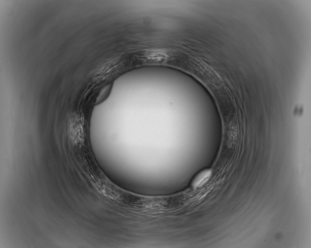 X0000100961394200807011321
