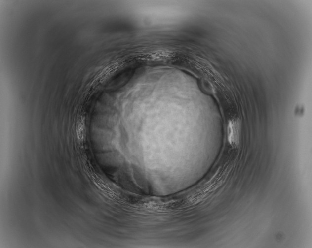 X0000100961395200807011321