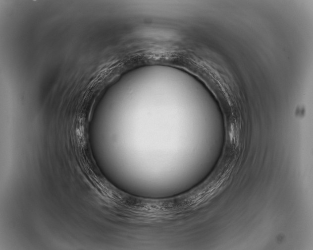 X0000100961396200807011321