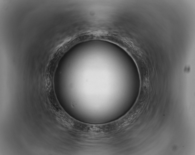 X0000100961398200807011321