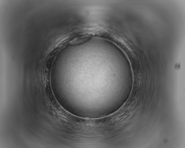 X0000100961399200807011321