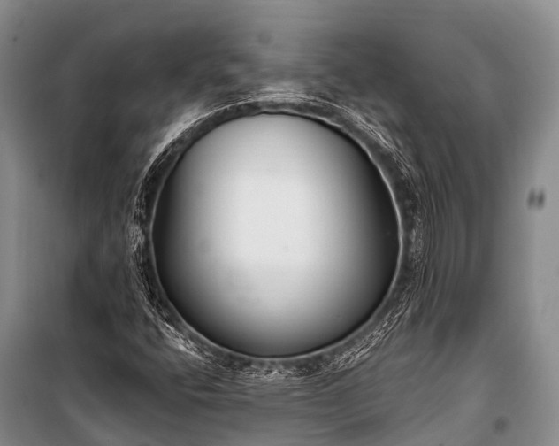 X0000100961400200807011321