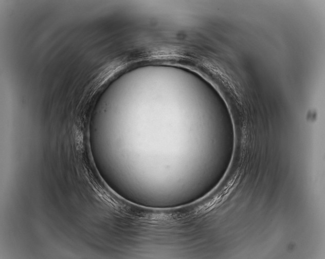 X0000100961401200807011321