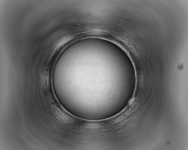 X0000100961402200807011321