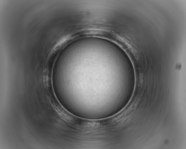 X0000100961403200807011321