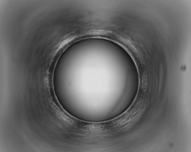 X0000100961404200807011321