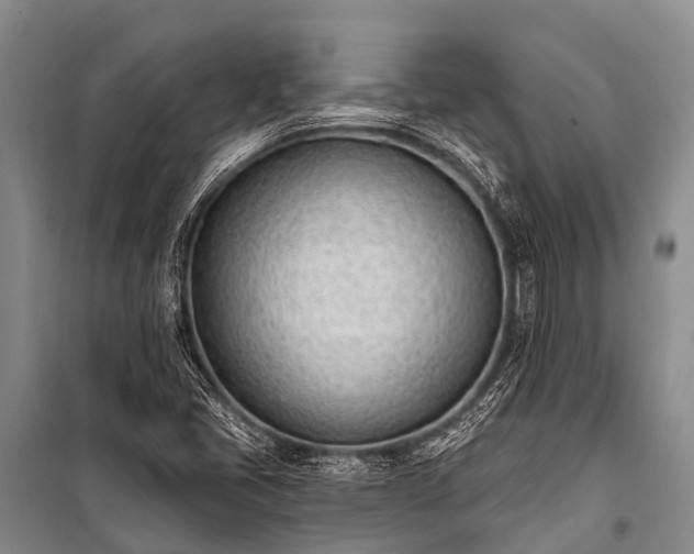 X0000100961405200807011321