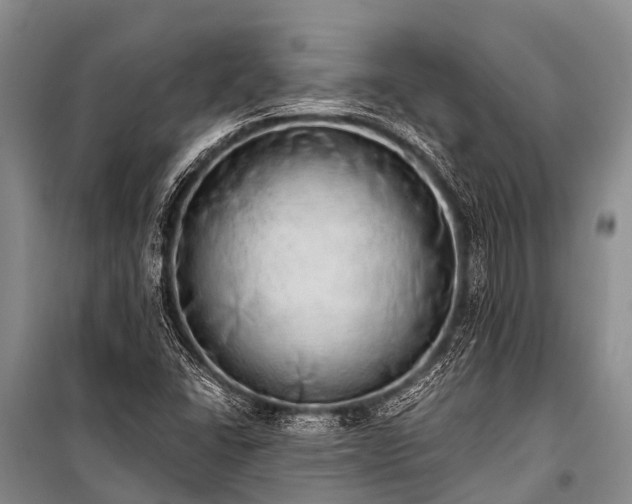 X0000100961406200807011321