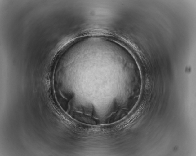 X0000100961407200807011321