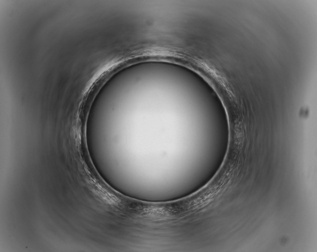 X0000100961408200807011321