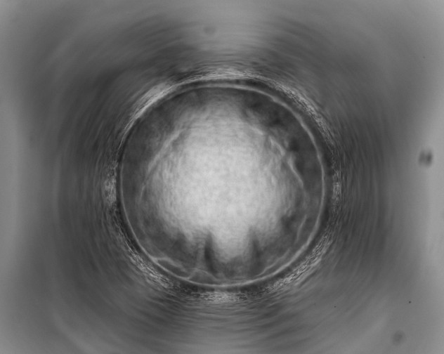 X0000100961409200807011321