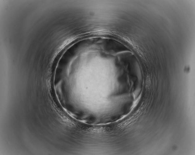 X0000100961410200807011321