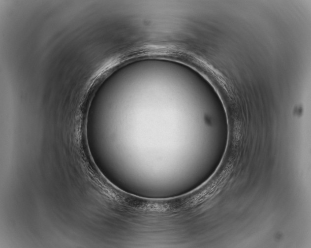 X0000100961411200807011321