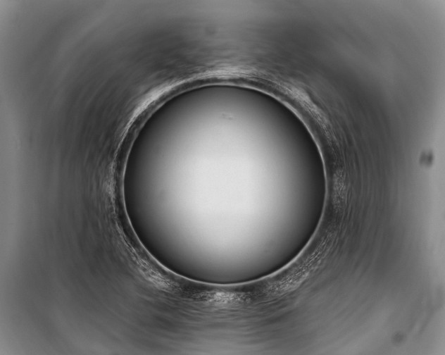 X0000100961412200807011321