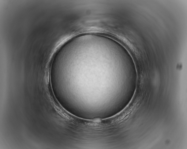 X0000100961413200807011321