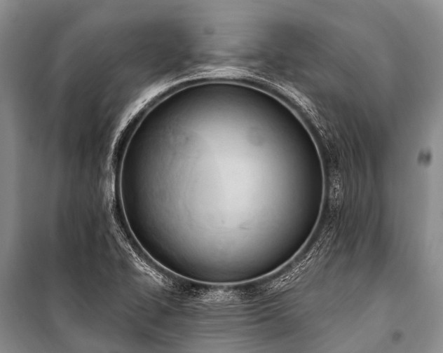 X0000100961414200807011321