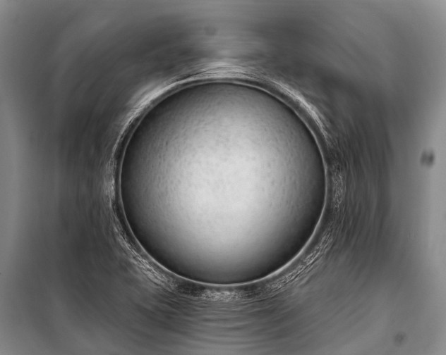 X0000100961415200807011321