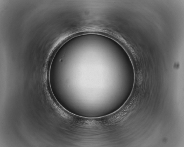 X0000100961416200807011321